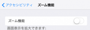 iPad ズーム